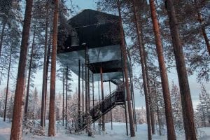 hotel tree