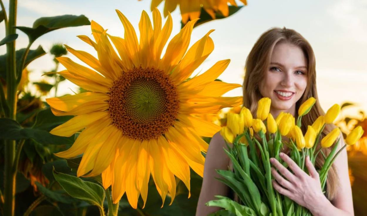¿Por qué se regalan flores amarillas el 21 de sept...